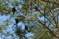  2007-12-10 10.46.00.JPG 